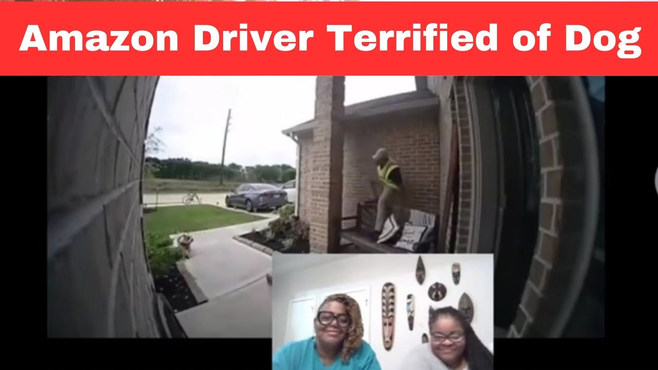 Funny Video: Amazon driver runs screaming from a puppy dog - YouTube