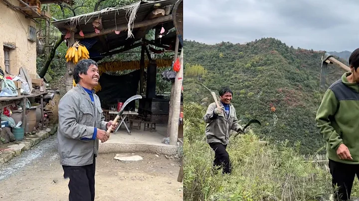 靠山吃山 靠水吃水，這個大山裡的寶貝你見過嗎 - 天天要聞