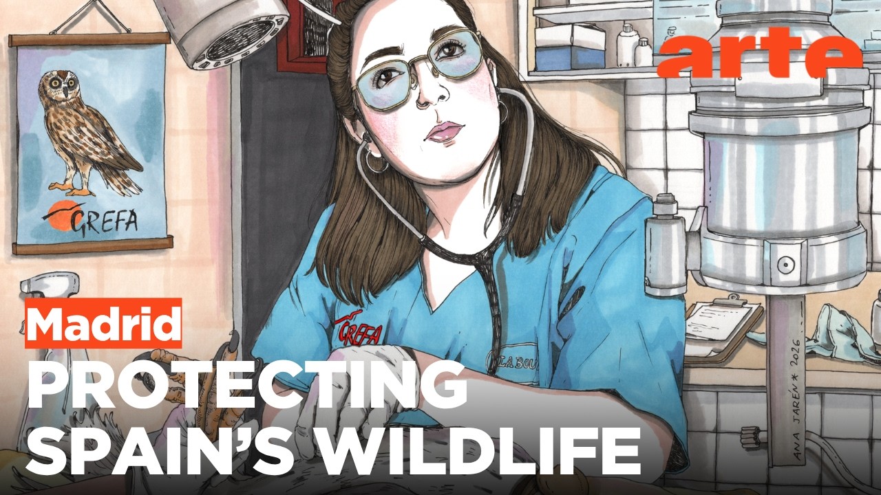 Documentary backdrop image for A Wildlife Hospital in Madrid (2026)