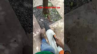 SOPRADOR BGA 85 STIHL A BATERIA 🔋 O MEU EQUIPAMENTO FAVORITO!!!!