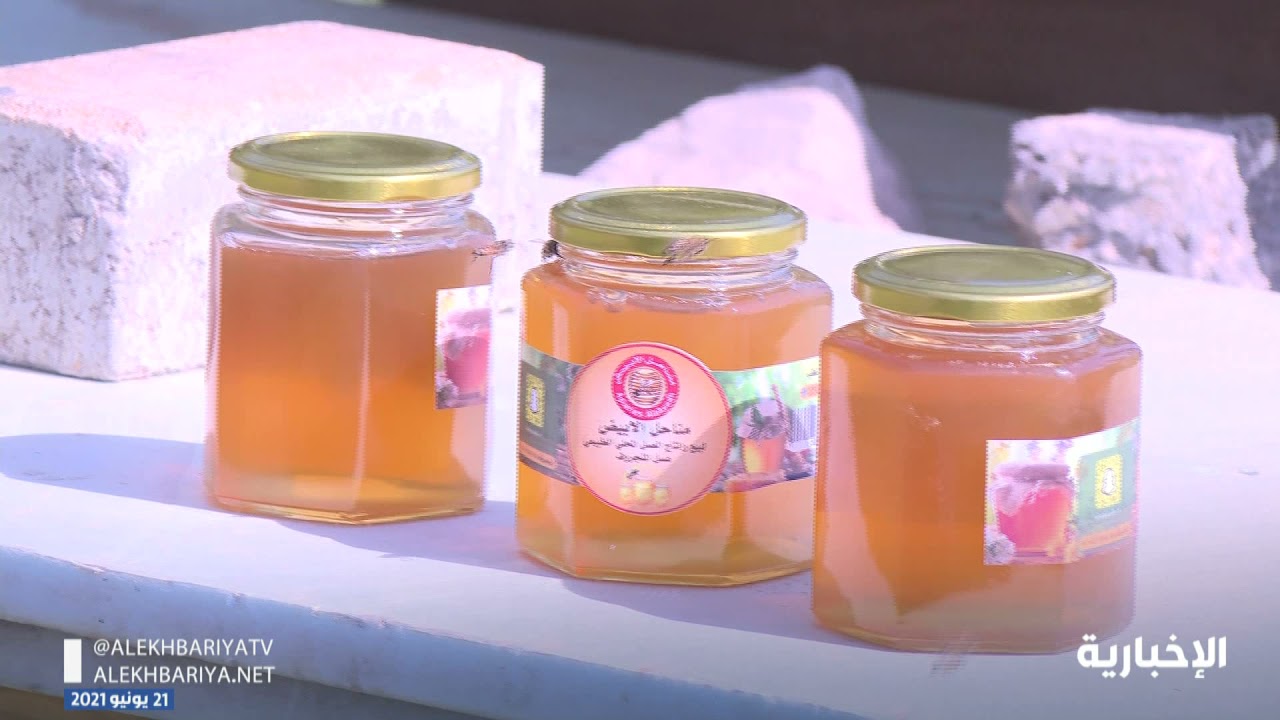 إنشاء منحل عسل في غابات المانجروف بـ #جزيرة_تاروت