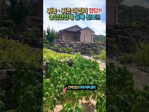 (급매) 농사짓고 전원생활 꿈꿨다면!! 밭 303평에 광역상수도 완비된 파쇄석 마당 집!! 전원주택 매매 급매물 #shorts