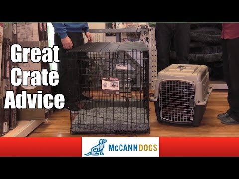 How To Choose A Crate For Your Dog