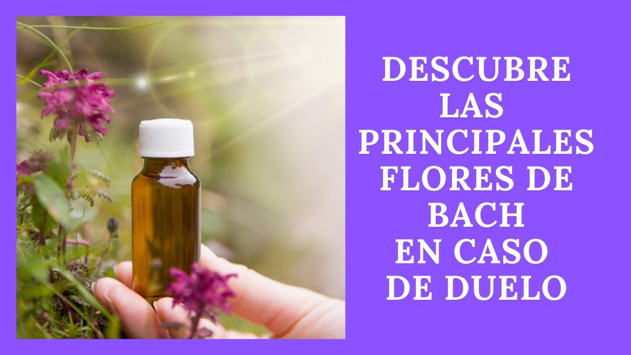 Formula Flores De Bach Para Duelo