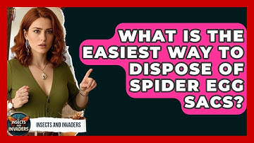 What Is The Easiest Way To Dispose Of Spider Egg Sacs? - Insects and Invaders