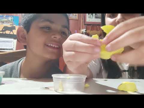 primer video
