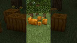 Mini Pumpkin | Minecraft Build Hacks