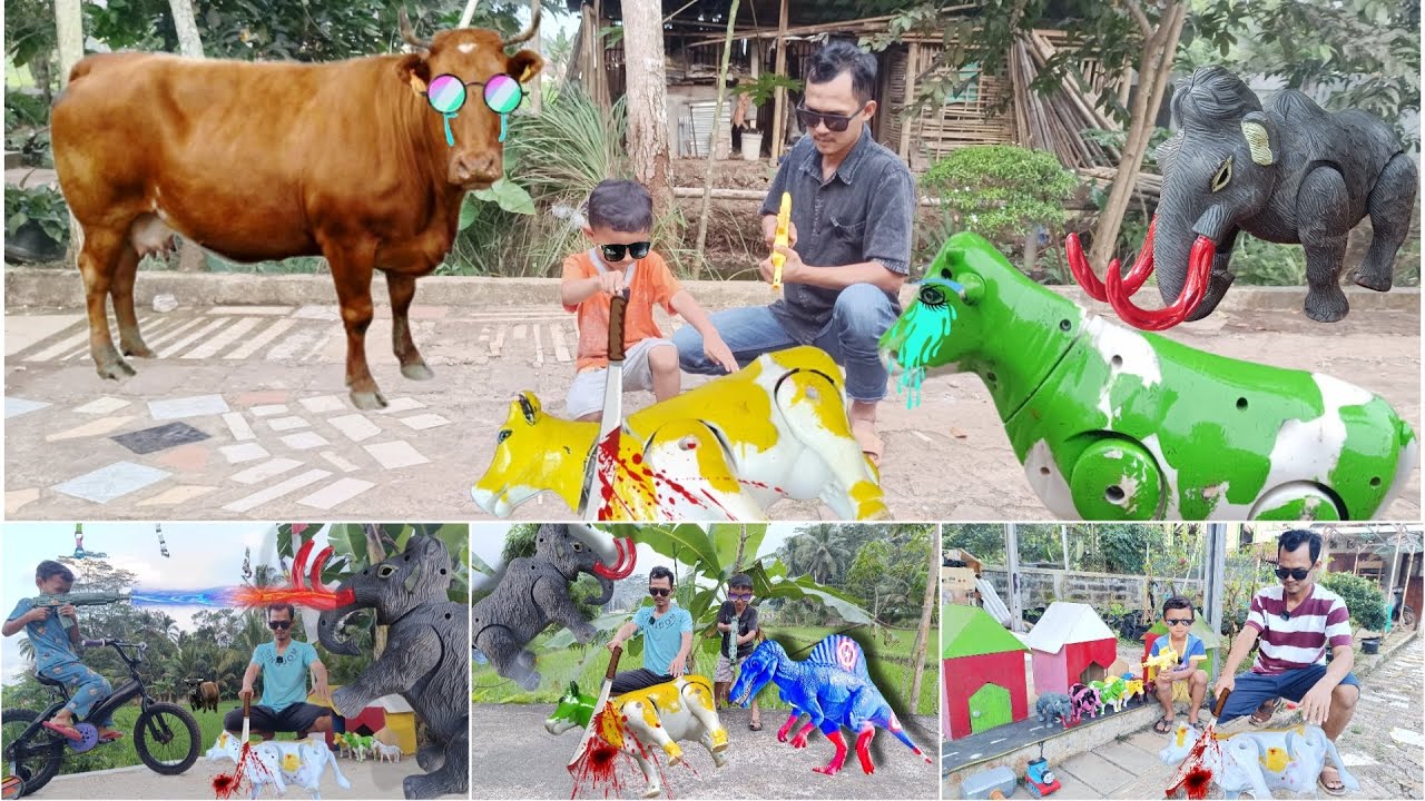 WOW 5 EPISODE -  EDISI WADIDAU ‼️PROSES POTONG SAPI MOO KURBAN