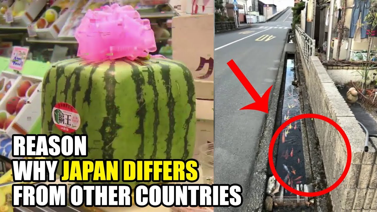Reason WHY Japan Differ from other Countries The Billion Unknown