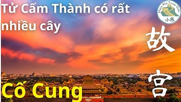 Cố Cung 故宫- Tử Cấm Thành Thực Tế Có Rất Nhiều Cây, Bố Cục Hoàn Mỹ Của Cung Điện Minh Thanh