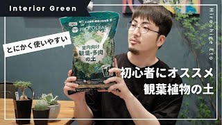 観葉植物オススメの土【初心者】インテリアグリーン | プロトリーフ | パキポディウム | 塊根植物