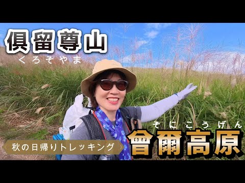 秋が来た！ススキの名所「曾爾高原」から三百名座の俱留尊山へ。バリエーションのある道で、楽しく歩けました♪