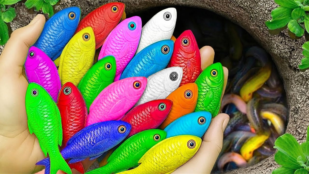 В небольшом пруду можно поймать красивых аквариумных рыбок: детенышей черепах, угрей, лягушек, ка...