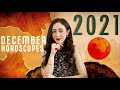 December 2021 Forecast - Cailin