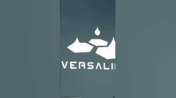 The Jensen Clone Conspiracy | Deus Ex