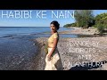 Amit and AJ || Habibi Ke Nain Dance Video
