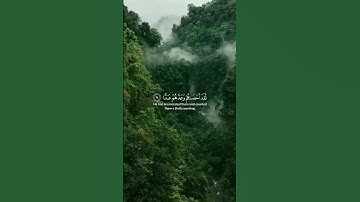 #القرآن_الكريم #راحة #راحة_نفسية #قرآن #قران_كريم #تلاوة_خاشعة #تلاوات #تلاوة_هادئة
