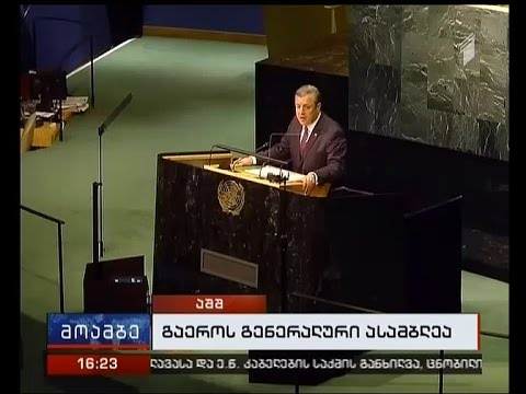 პრემიერის გამოსვლა გაერო-ში - შეფასებები თბილისში