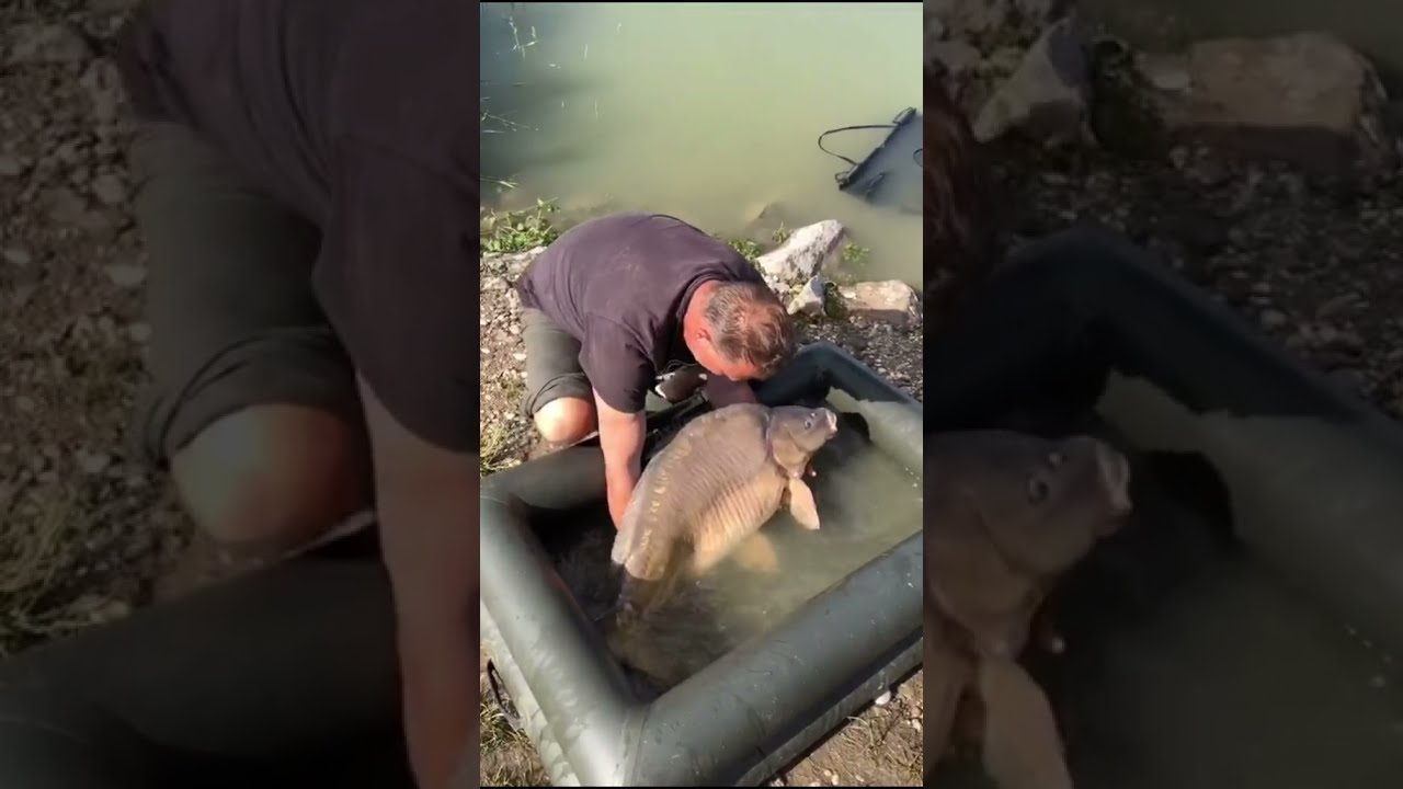 Wow Big Fish Live Casting Fishing 540
