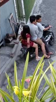 tretes gg sono prigen