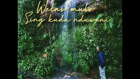 Story Bahasa Osing Banyuwangi Muputi Welas