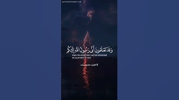مقطع التلاوة الخاشعة رائعا السورة الصف القرآن کریم من الشیخ حامد ولی زاده quran