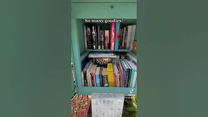 Visit a Little Free Library with Me! - DayDayNews
