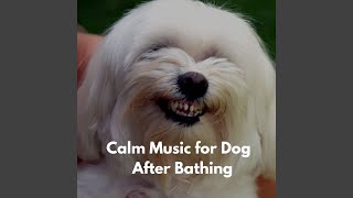 Playful Music for Forgetting Mirrors
