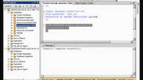 SQL Server 2008 Transparent Data Encryption