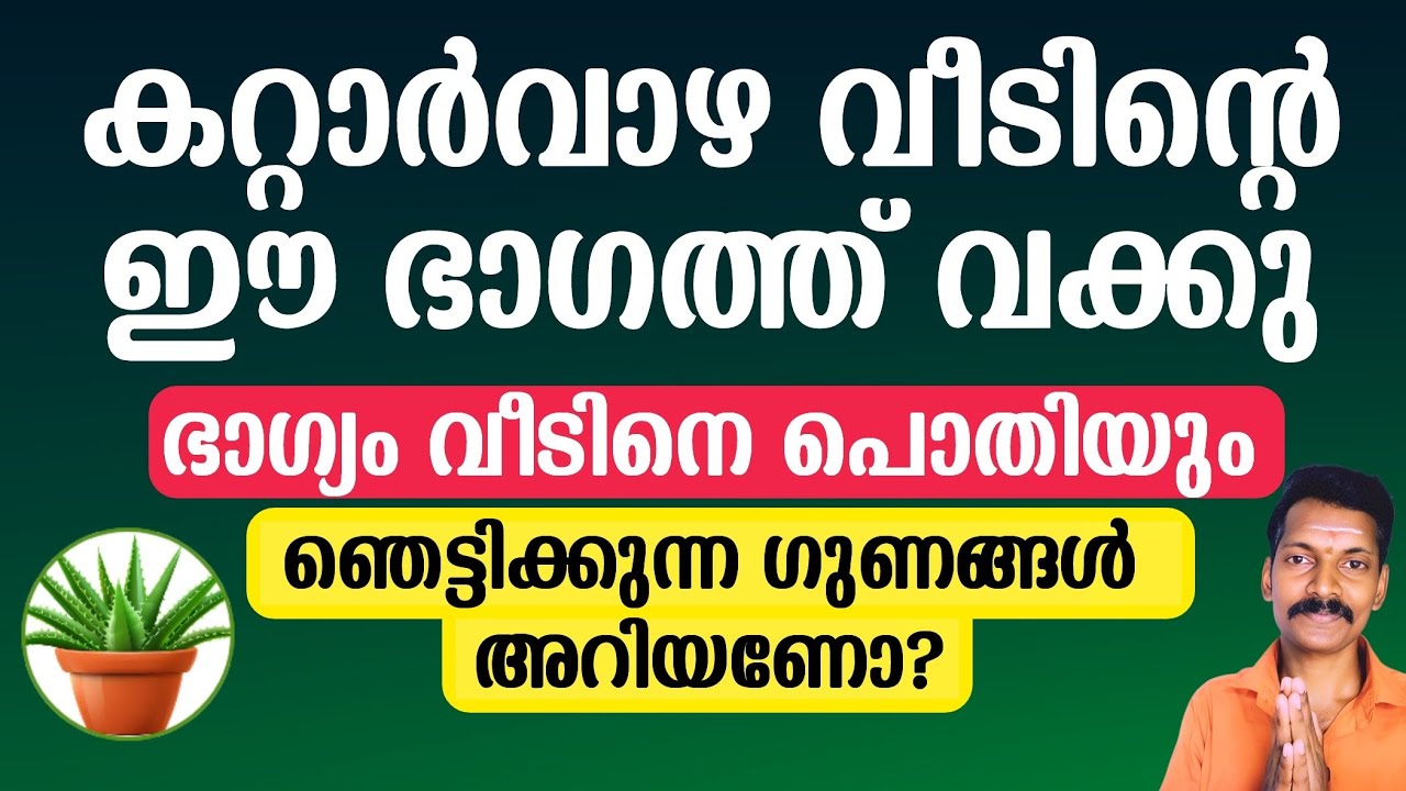 കറ്റാർവാഴ വീടിൻറെ ഈ ദിശയിൽ നടുക. ഗുണങ്ങൾ ഞെട്ടിക്കും. വീട്ടിൽ ഈ ദേവൻറെ അനുഗ്രഹം നിറയും.