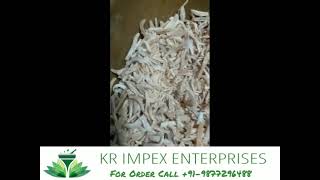 Musli Safed Chlorophytum Borivilianum White Musli Restoring Immunity Reduce Diabetes