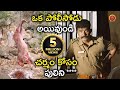 à°’à°• à°ªà±‹à°²à±€à°¸à±‹à°¡à± à°…à°¯à°¿à°µà±à°‚à°¡à°¿ à°šà°°à±à°®à°‚ à°•à±‹à°¸à°‚ à°ªà±à°²à°¿à°