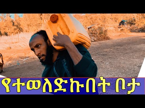 ቪዲዮ: ቢኒ ቤናሲ-የሕይወት ታሪክ ፣ ፈጠራ ፣ ሙያ ፣ የግል ሕይወት