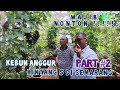 Kebun ANGGUR BINTANG 5 Semarang #Part2  | BANJIR BUAH !!