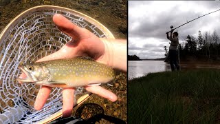 Striped Bass & Brook Trout Fly Fishing!  Maitland, Nova Scotia