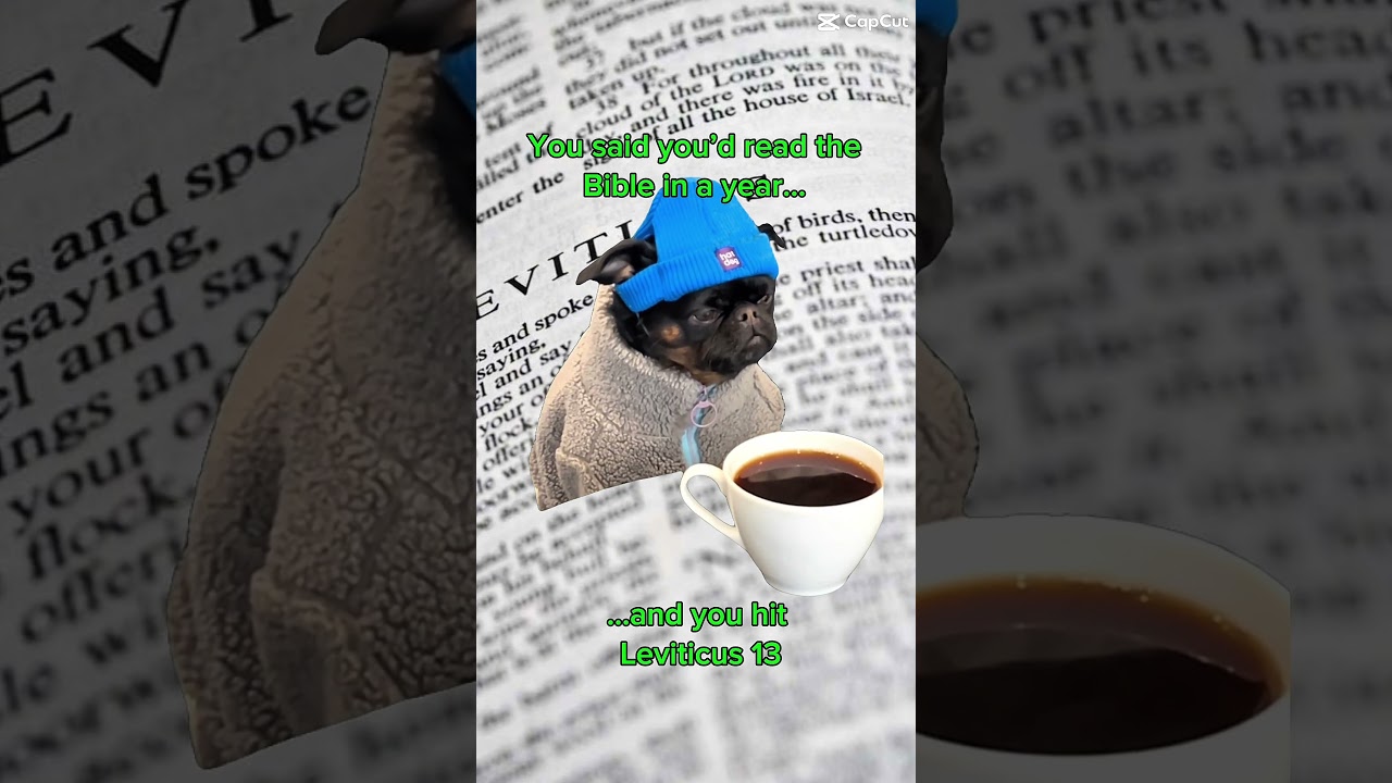 Bible In A Year? Leviticus 13 Enters The Chat #bible #relatable #fail