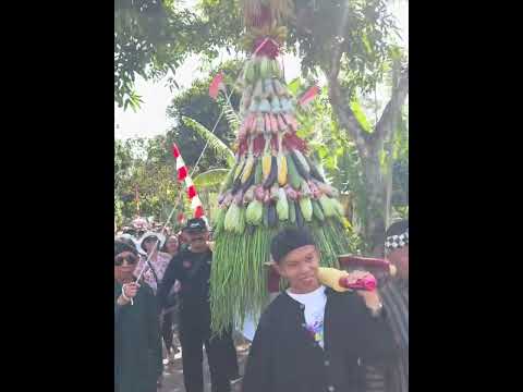 ผลสลากกินแบ่งรัฐบาล วันที่ 1 พย. 2567