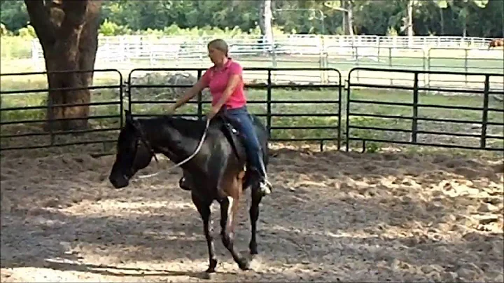 Jet's First Ride short version