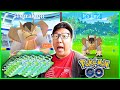 20 Terrakion Raids in a Day With a Very Rarer Encounter Than a Shiny! - Pokemon GO