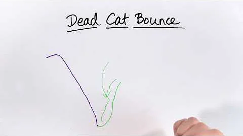 Dead Cat Bounce