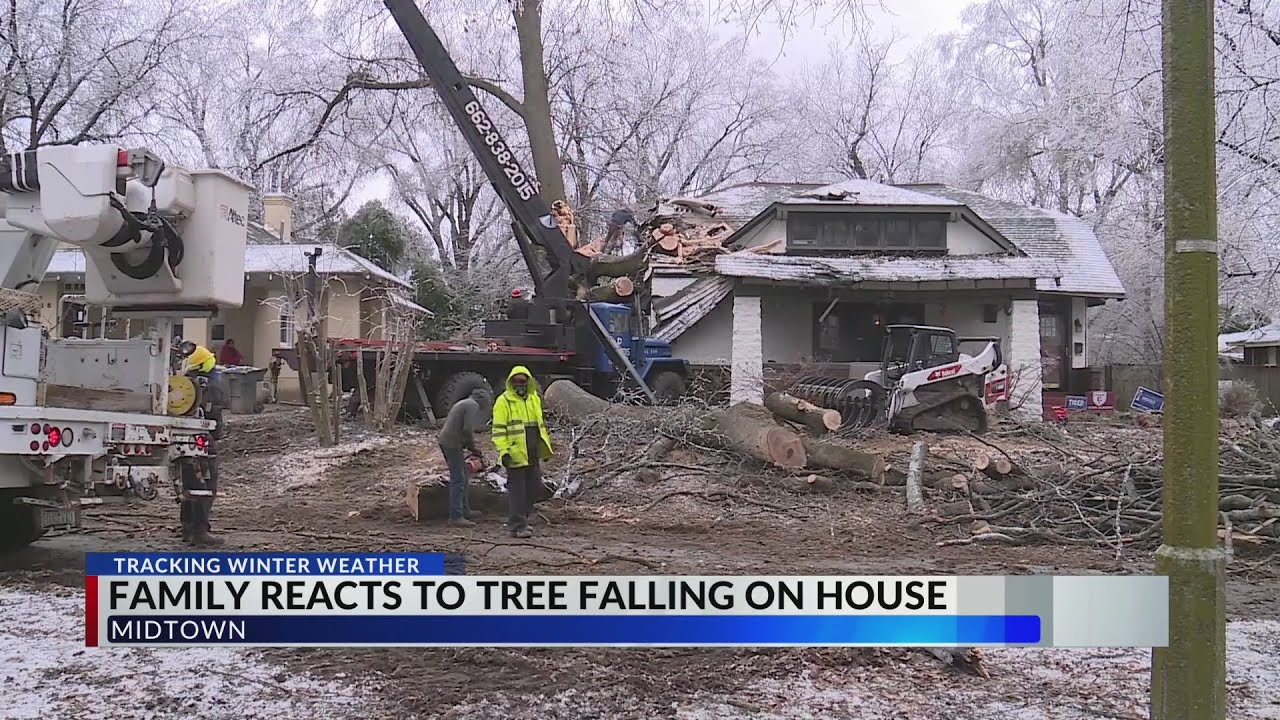 Tree falls on house - YouTube