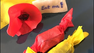 How To Make Edible Rice Paper Stem Activity