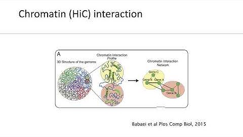 Functional annotation in risk loci