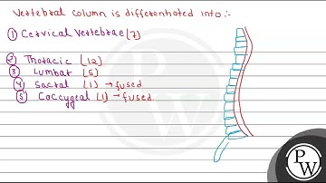 Identify the parts labeled as \( A \) to \( E \) in the given figure of vertebral column and sel...