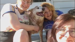'She's the strongest woman I know' | Postal worker and family overwhelmed by support after crash