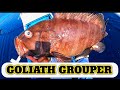 GOLIATH GROUPER PLUS MORE BIG FISH | UNLOCKED AFTER UNLOCKED FISHING