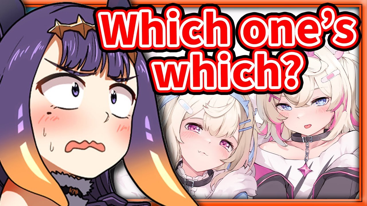 Ina Can't Tell Fuwawa and Mococo Apart 【Ninomae Ina'nis / HololiveEN】