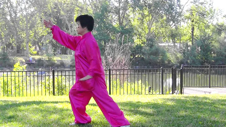 Yang 8 postures Taichi , Luming Mei