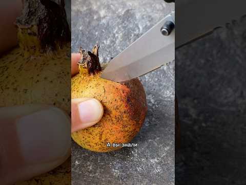 Тропические фрукты на Бали гранат #тропическиефрукты #фрукты #гранат