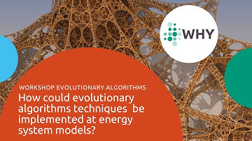 WHY - Workshop - How could evolutionary algorithms be implemented at energy system models